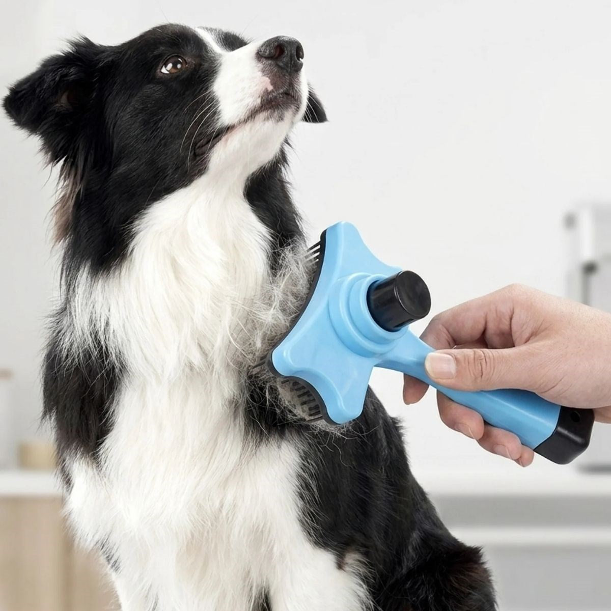 ANKAVERSE® Otomatik Tüy Toplayıcı Pet Tarak