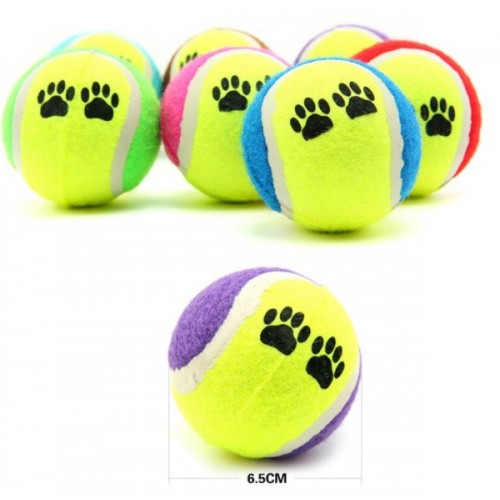 At Getir Köpek Eğitim Topu (5286)