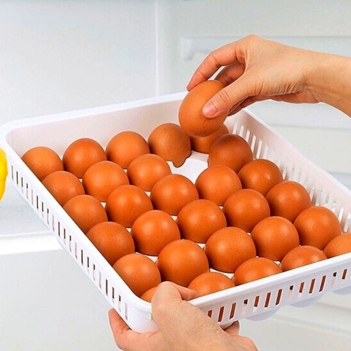 15'li Yumurta Saklama Kabı (5286)