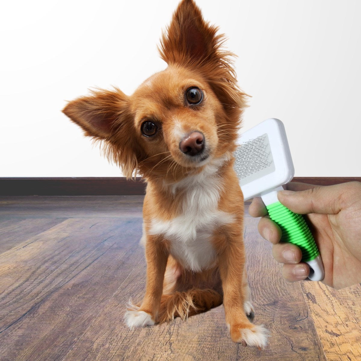 Kedi Köpek Telli Küçük Boy Tüy Bakım Seti Evcil Hayvan Tarama Fırçası (5286)