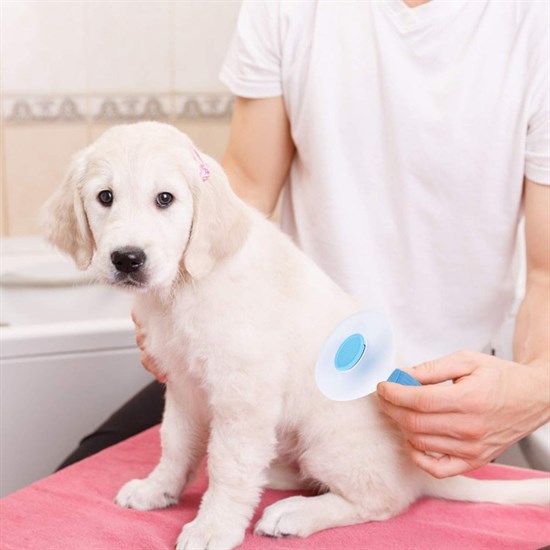Kedi Köpek Tüy Toplayıcı Kendini Temizleyebilen Ergonomik Saplı Evcil Hayvan Tarağı Mavi (5286)