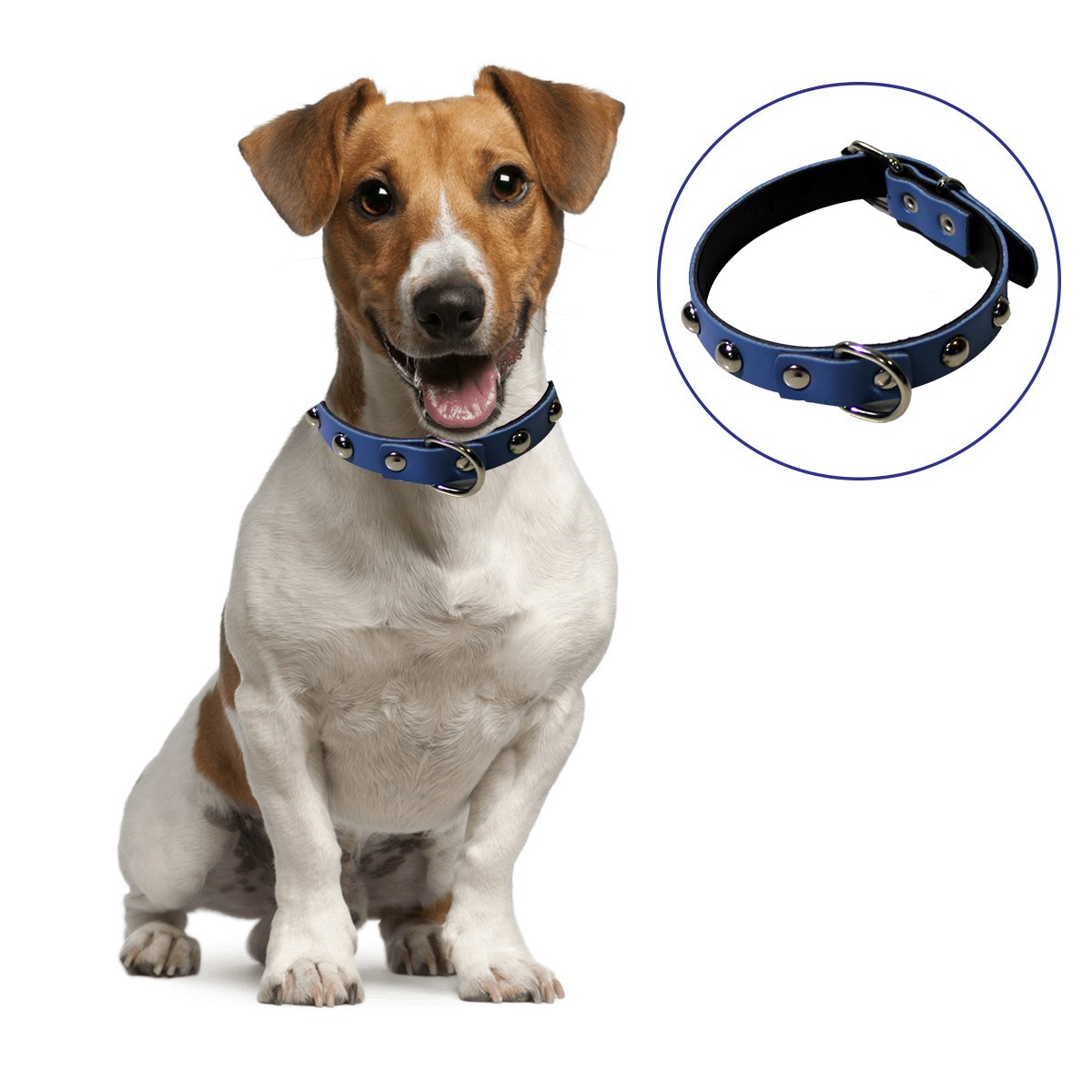 Yumuşak Dokulu Deri Köpek Gezdirme Boyun Tasması (Large) (5286)