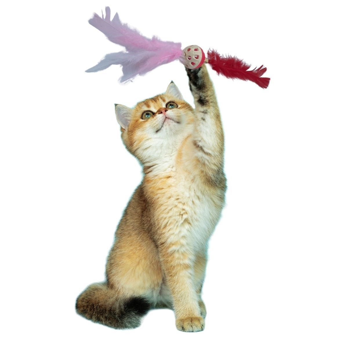 ANKAVERSE® Tüylü Püsküllü Kedi Oyuncağı