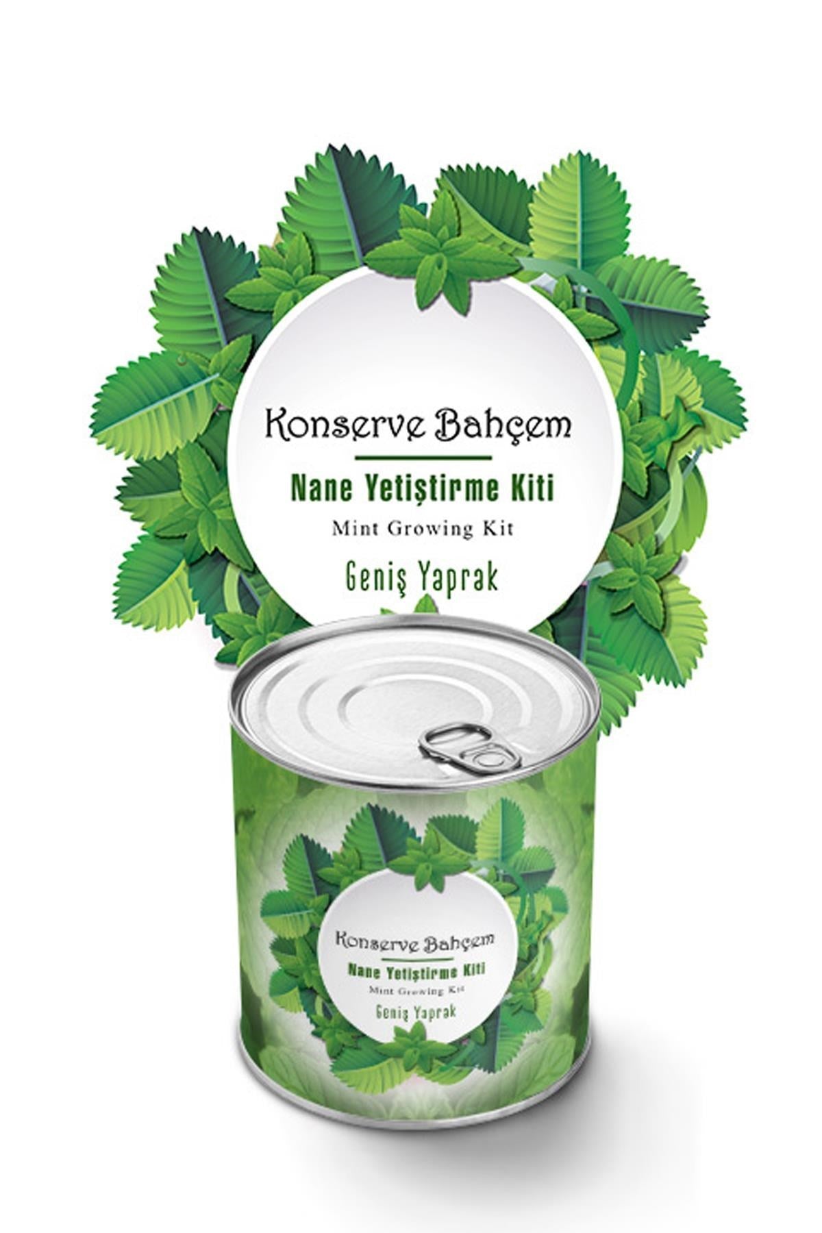 ANKAVERSE® Konserve Nane Yetiştirme Kiti