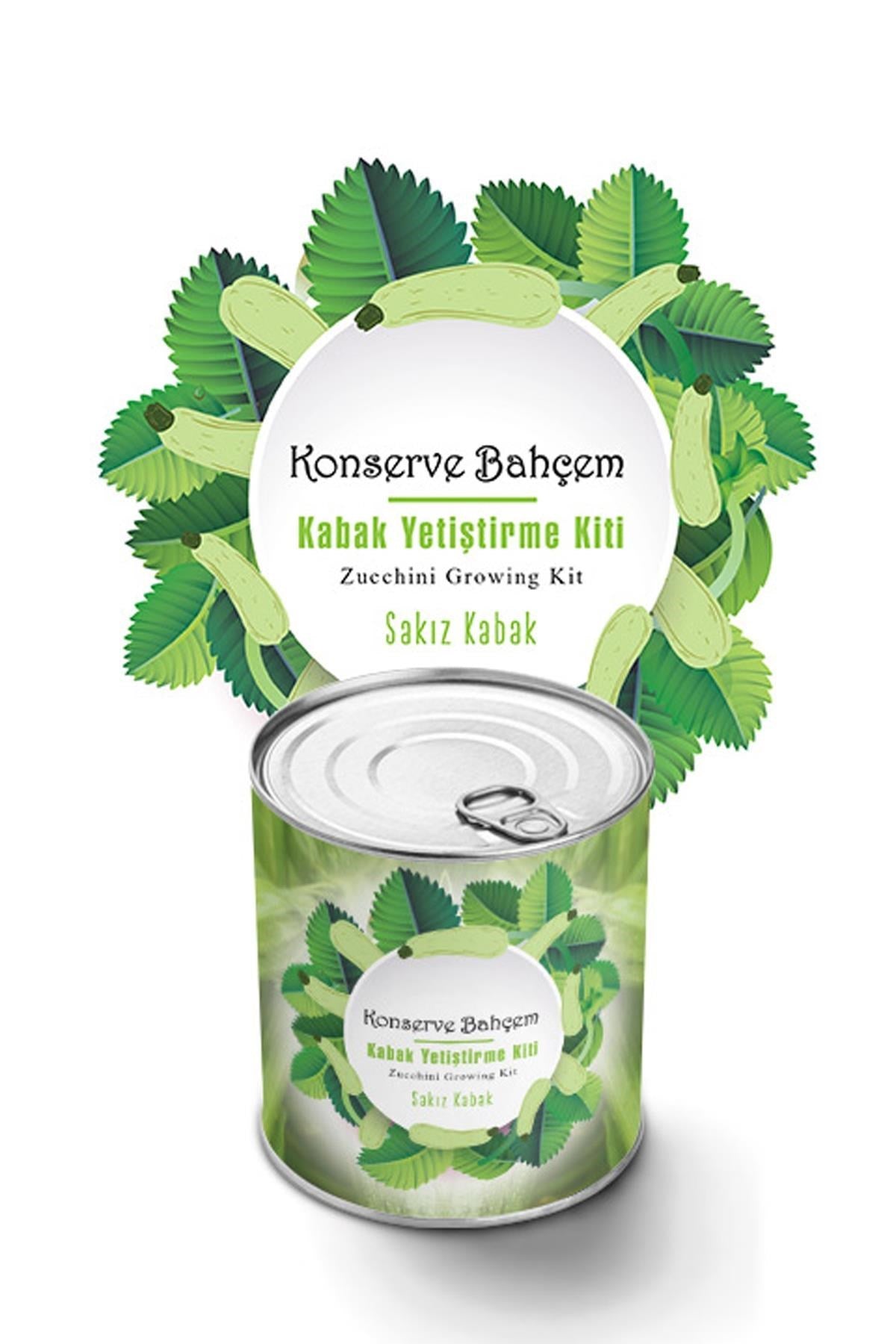 ANKAVERSE® Konserve'de Sakız Kabak Yetiştirme Kiti