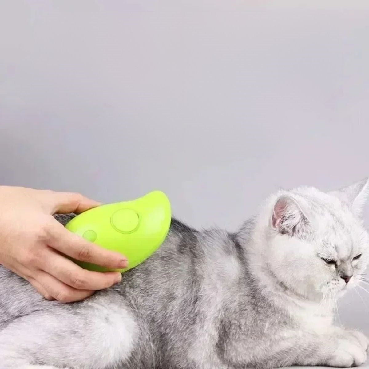 ANKAVERSE® Buharlı Silikon Pet Tüy Bakım Fırçası