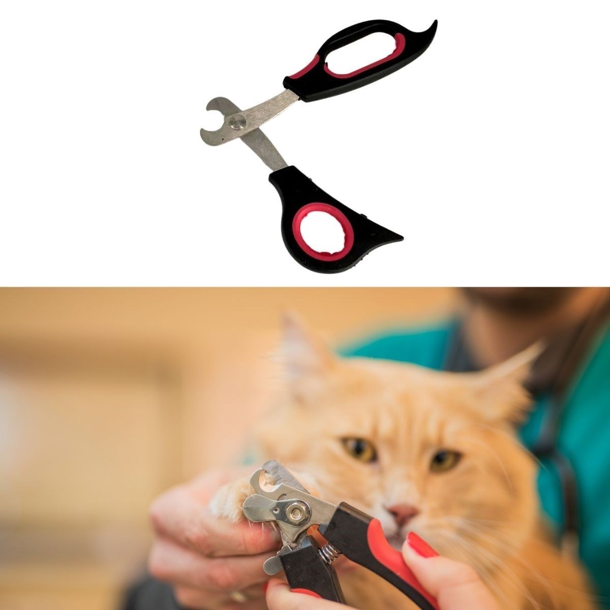 ANKAVERSEBüyük Irk Köpek Kedi Çelik Uçlu Evcil Hayvan Tırnak Makası Pati Bakım Aleti Ergonomik Kaymaz