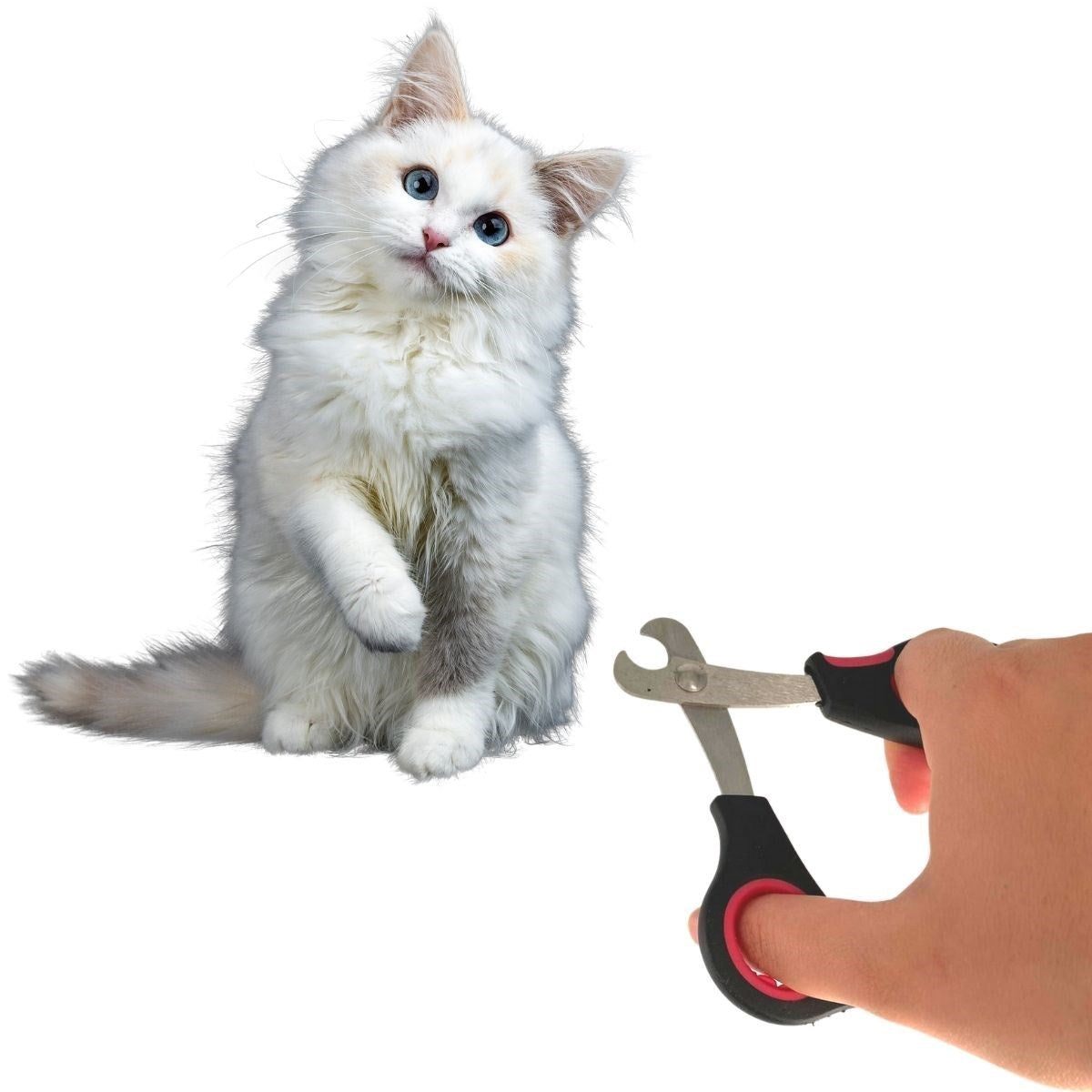 ANKAVERSEBüyük Irk Köpek Kedi Çelik Uçlu Evcil Hayvan Tırnak Makası Pati Bakım Aleti Ergonomik Kaymaz