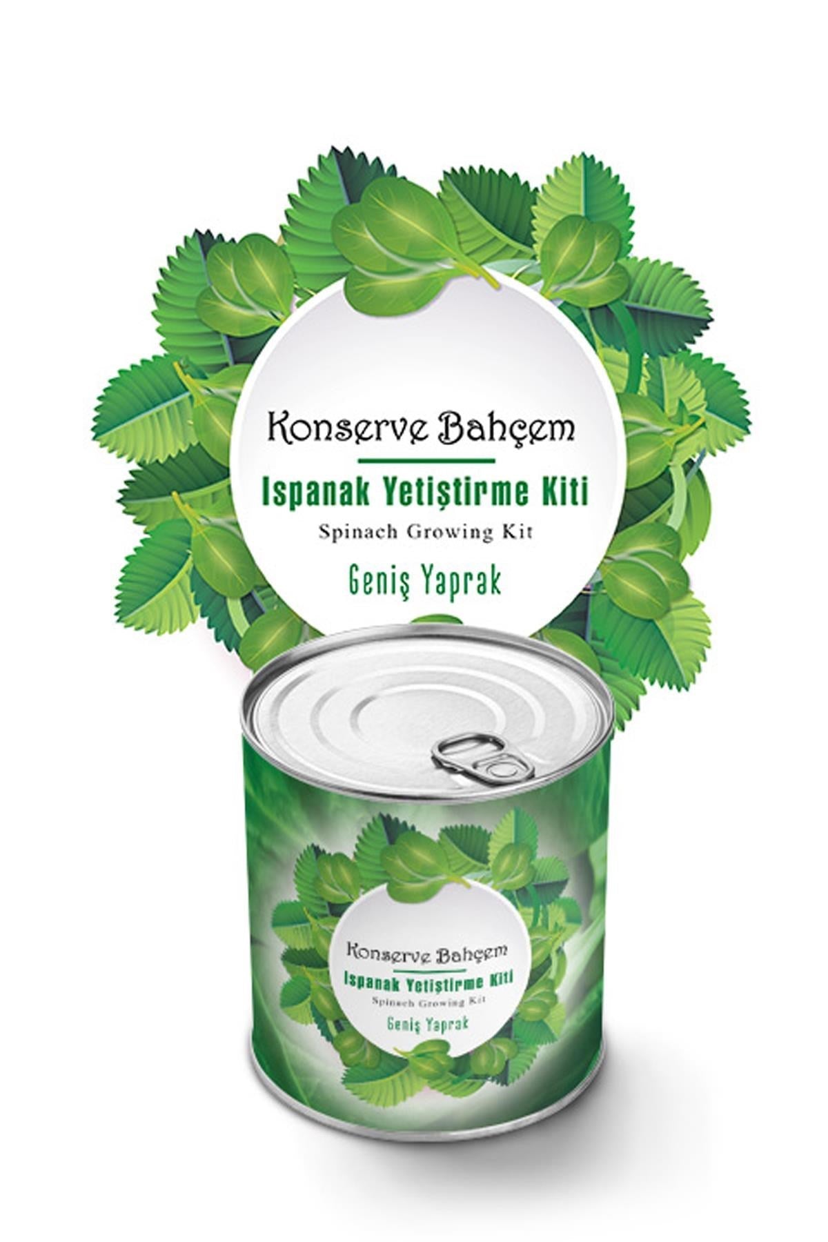 ANKAVERSE® Konserve Bahçem Evde Konservede Kolay Ispanak Yetiştirme Kiti