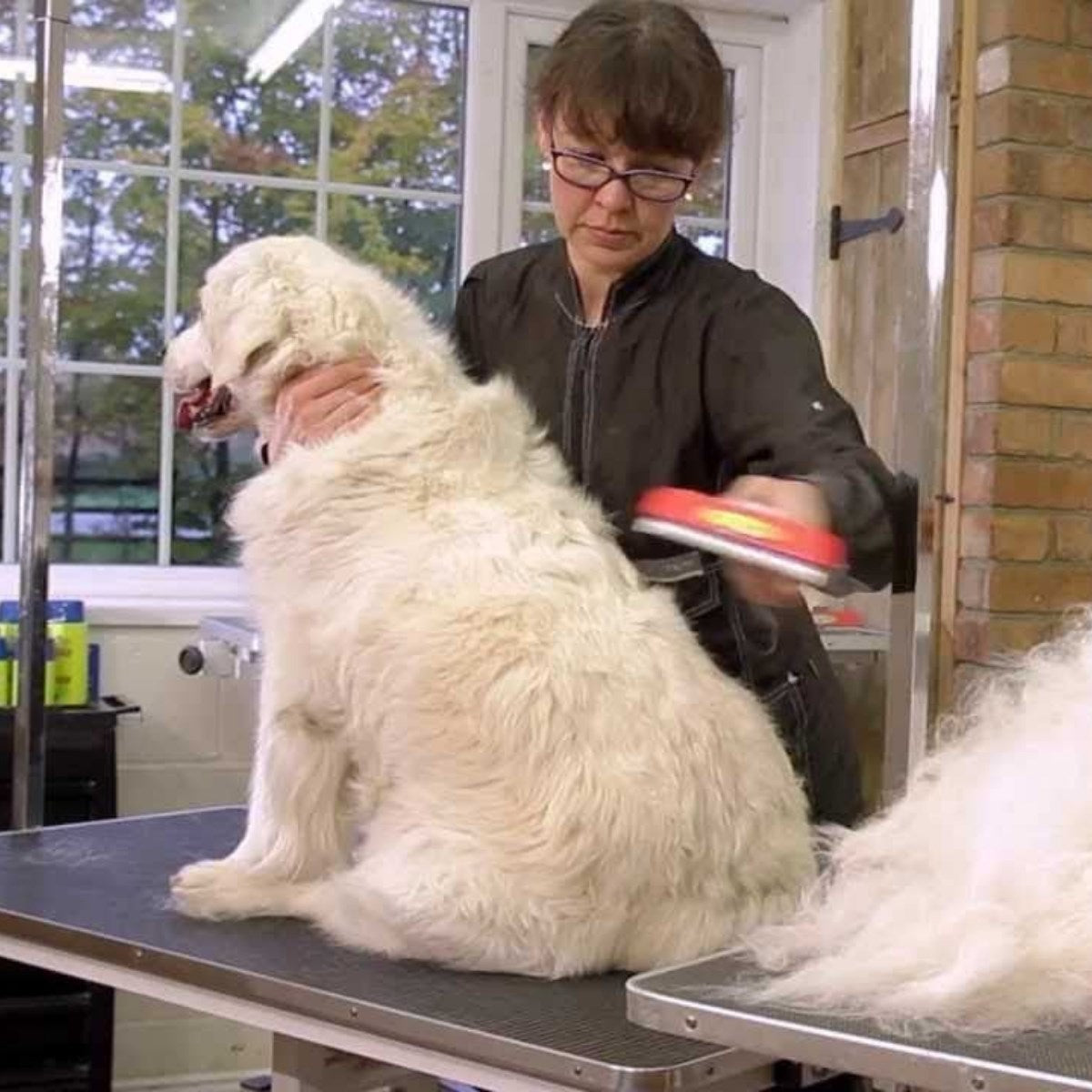 ANKAVERSE® Ergonomik Tüy Toplayıcı Tarak - Uzun Tüylü 23kg+ Köpekler İçin