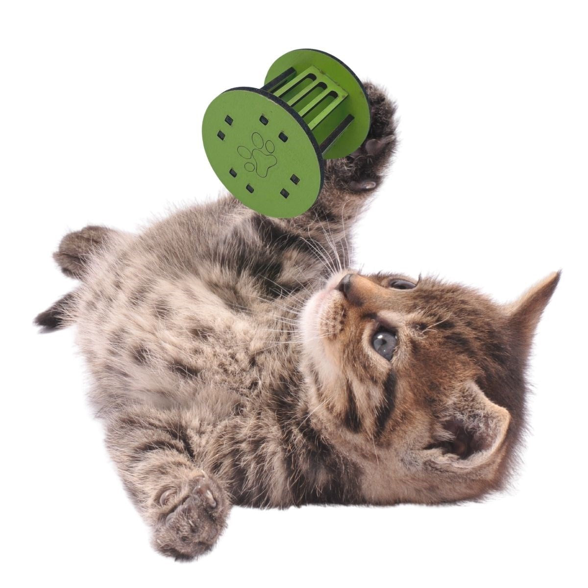 ANKAVERSE® Mini Pati İzi Kedi Oyuncağı