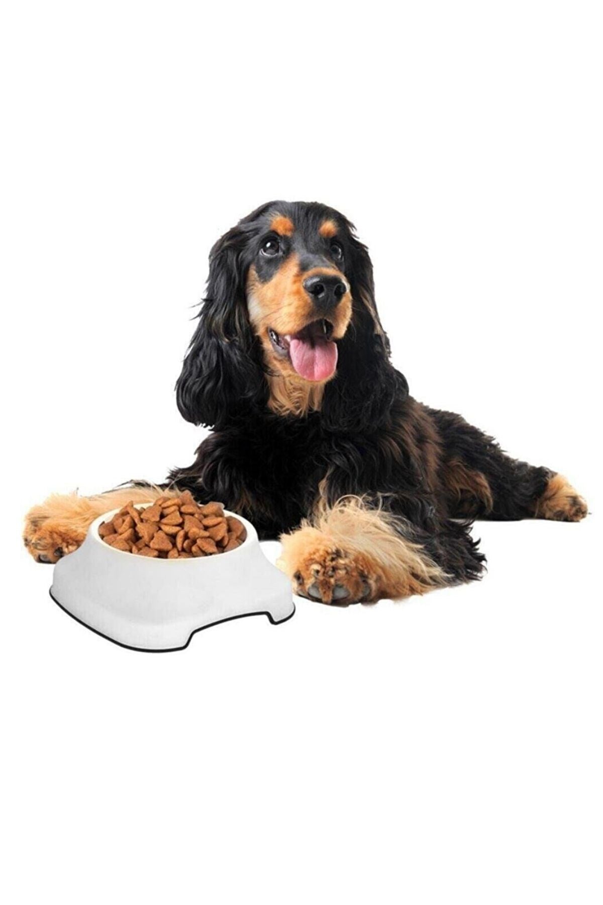 ANKAVERSE® Kaydırmaz Silikon Tabanlı 2L Pet Mama ve Su Kabı