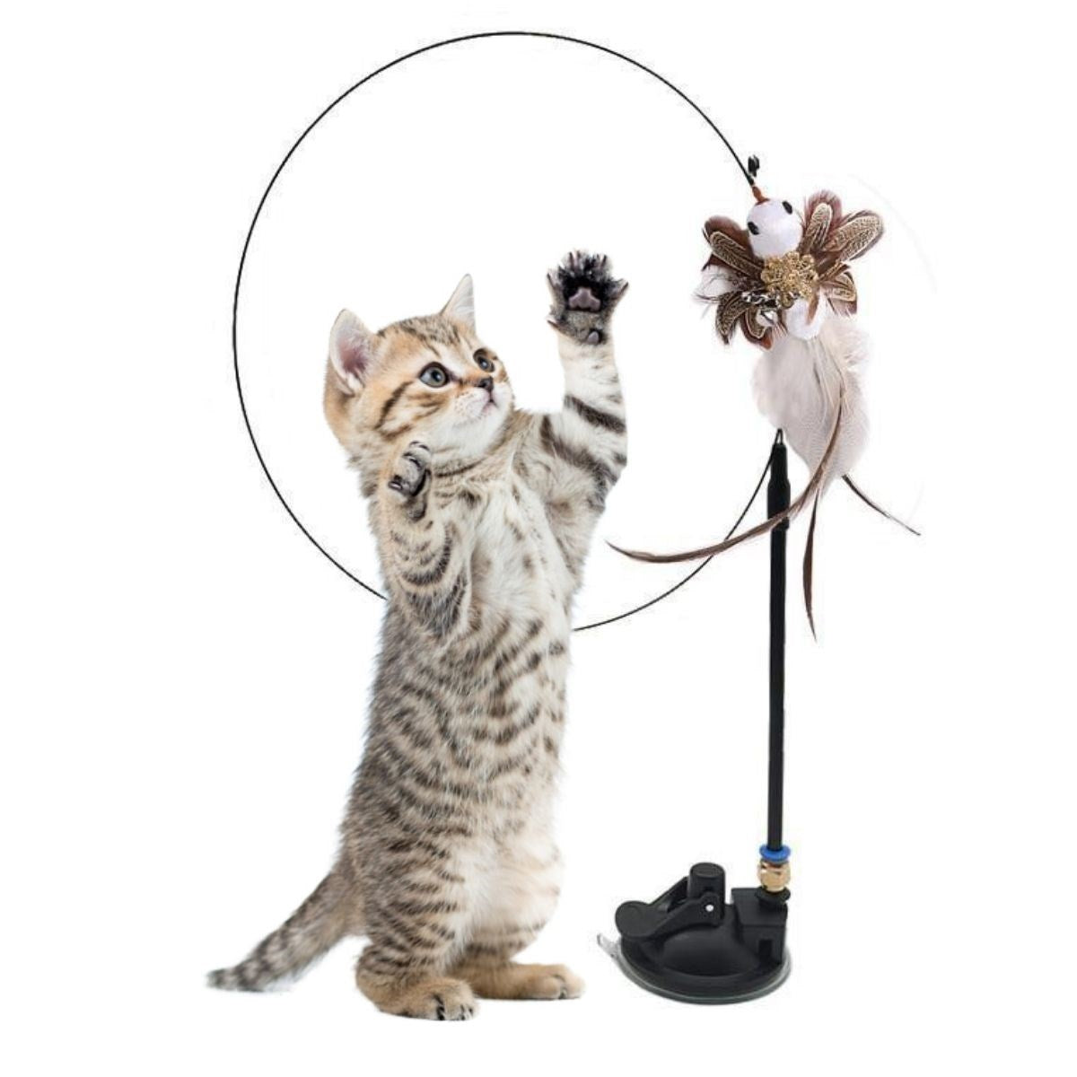 ANKAVERSE® Vantuzlu Tüylü Zilli Olta Kedi Oyuncağı 2 Oltalı