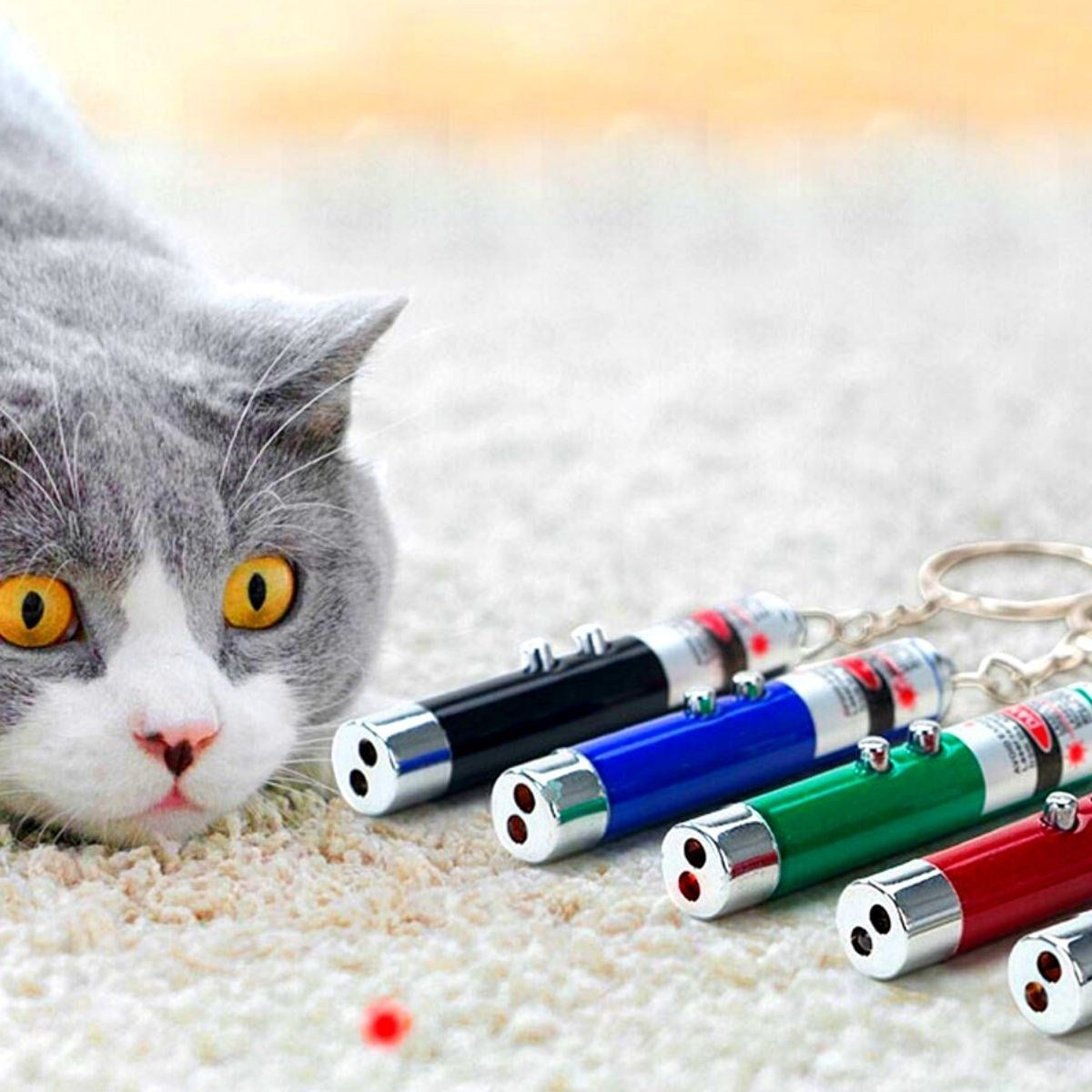 ANKAVERSE® 3'ü 1 Arada LED Lazer Kedi Köpek Oyuncağı Anahtarlık