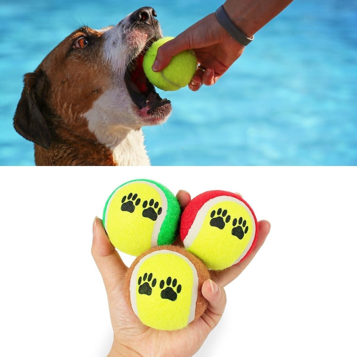 ANKAVERSE®  3lü Renkli Desenli Tenis Topu Kedi Köpek Oyuncağı