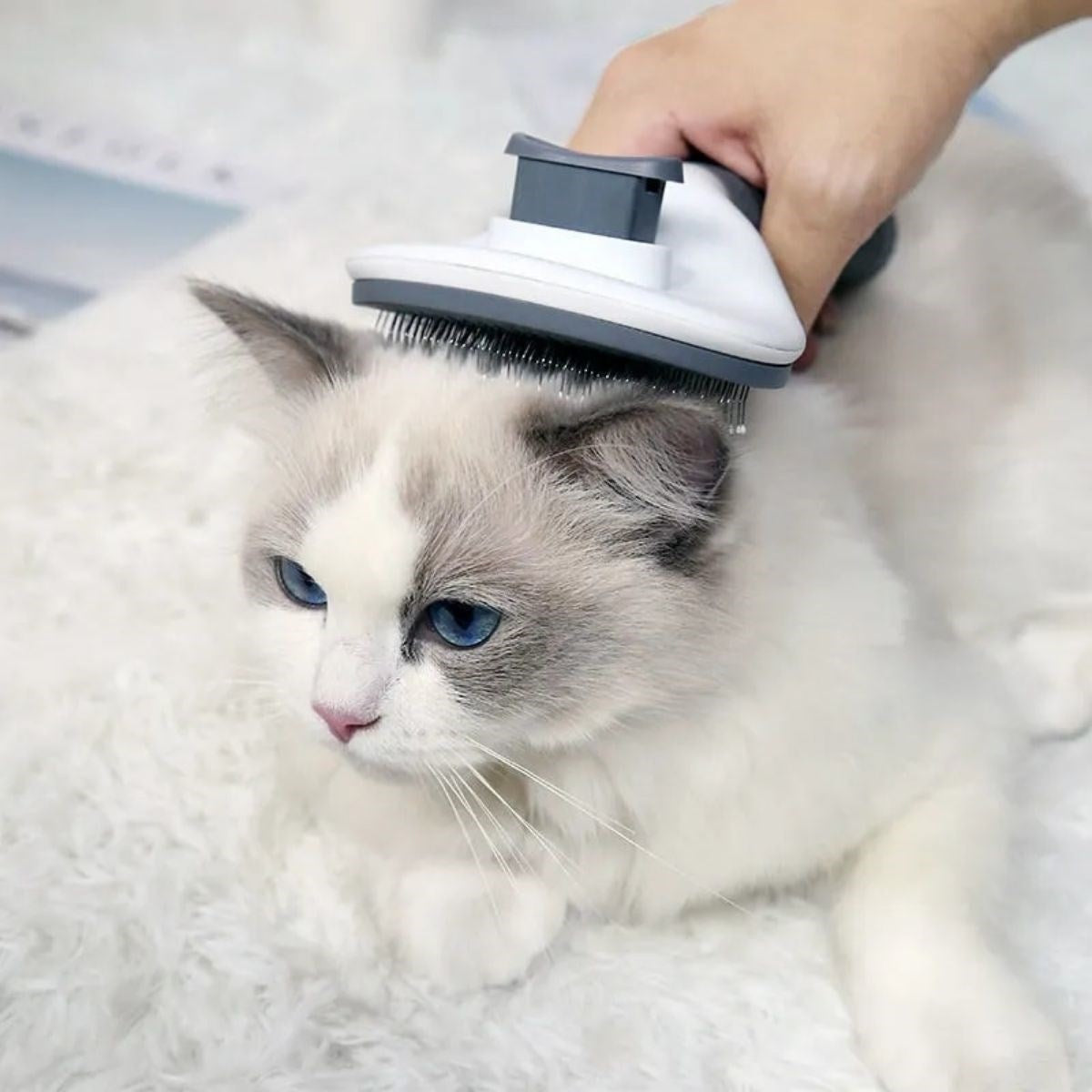 ANKAVERSE® Kendini Temizleyen Ergonomik Pet Tüy Toplayıcı - Gri