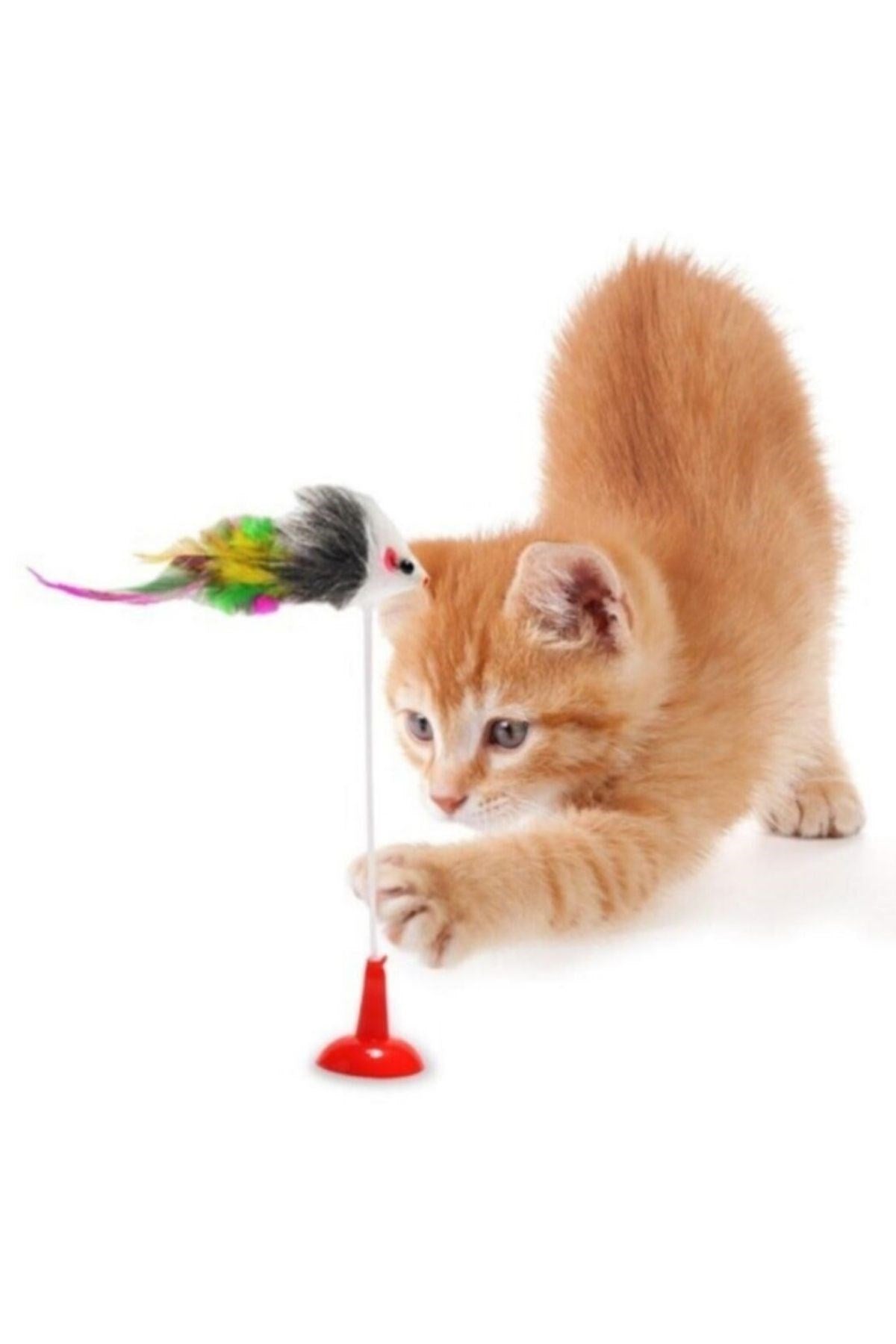 ANKAVERSE® 2'li Vantuzlu Fareli Kedi Oyuncağı