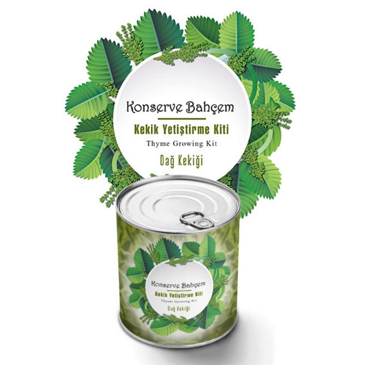 ANKAVERSE® Evde Konserve Dağ Kekiği Yetiştirme Kiti
