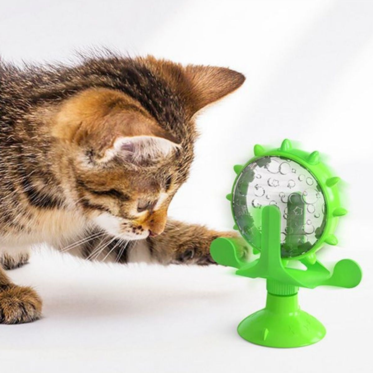 ANKAVERSE® Vantuzlu İnteraktif Dönen Kedi Oyuncağı