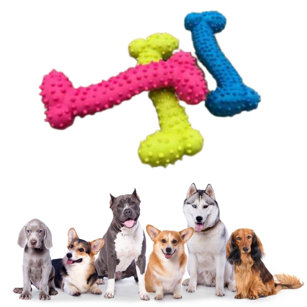 ANKAVERSE® Tiny Tırtıklı Kemik Köpek Oyuncağı