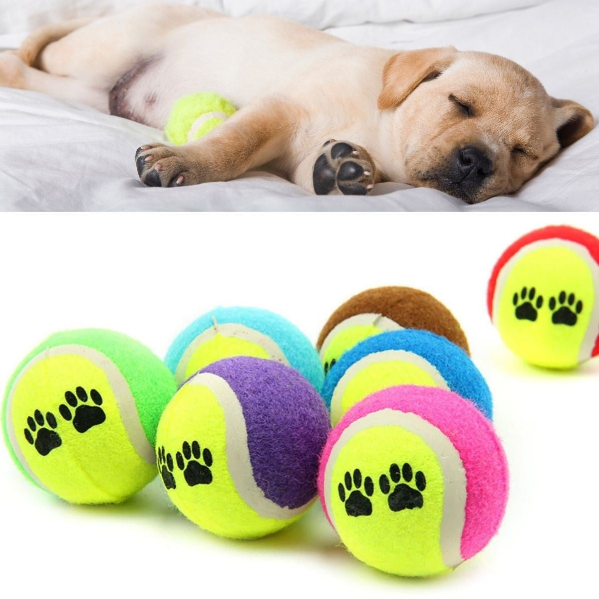 ANKAVERSE®  3lü Renkli Desenli Tenis Topu Kedi Köpek Oyuncağı