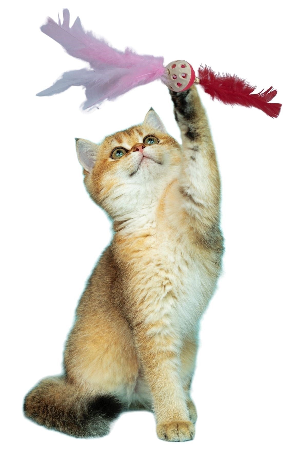ANKAVERSE® Tüylü Püsküllü Kedi Oyuncağı