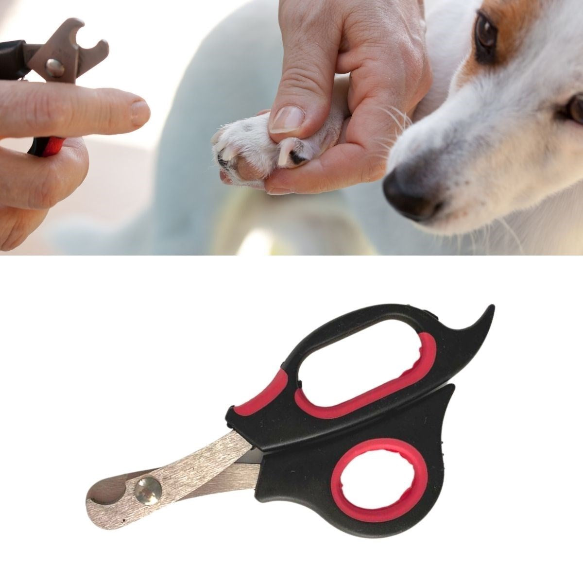 ANKAVERSEBüyük Irk Köpek Kedi Çelik Uçlu Evcil Hayvan Tırnak Makası Pati Bakım Aleti Ergonomik Kaymaz