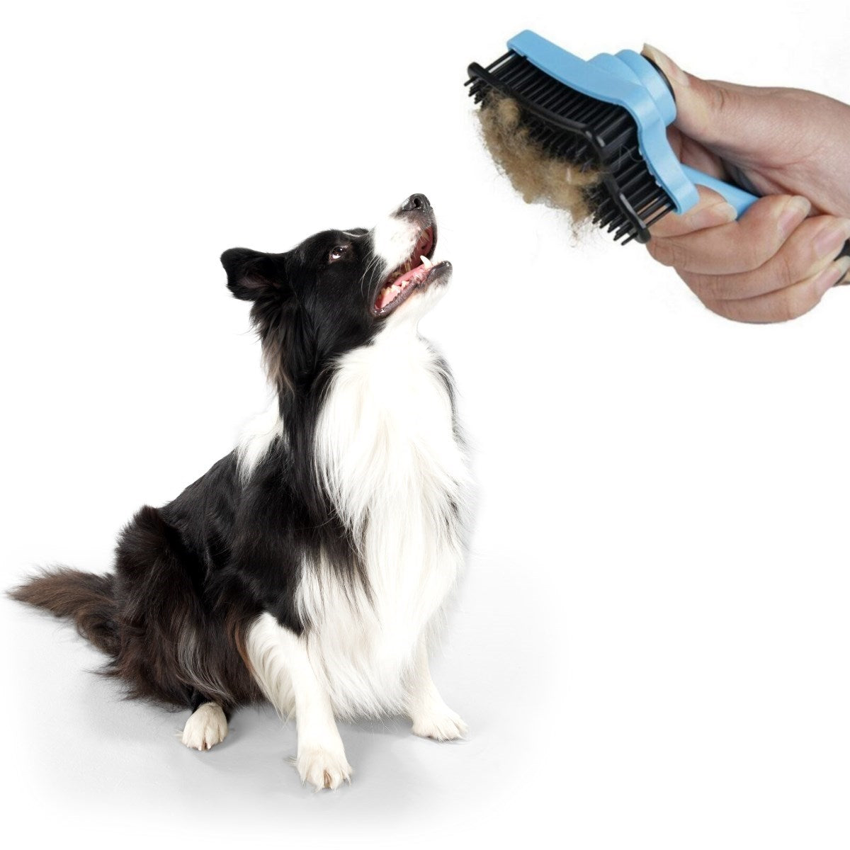 ANKAVERSE® Otomatik Tüy Toplayıcı Pet Tarak