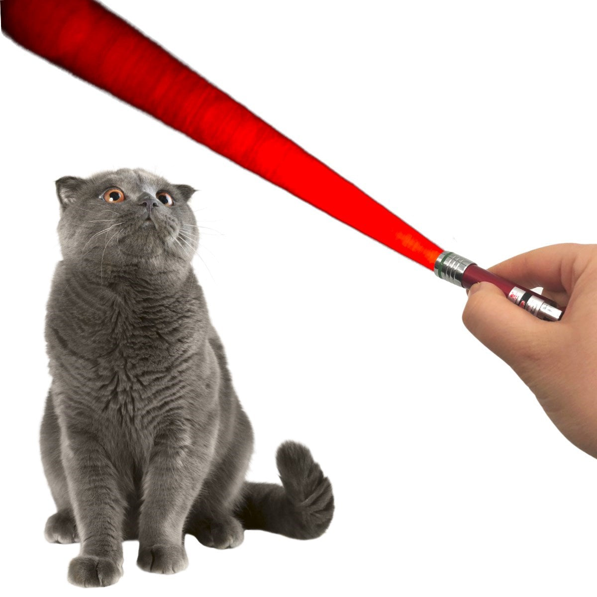 ANKAVERSE® 3'ü 1 Arada LED Lazer Kedi Köpek Oyuncağı Anahtarlık