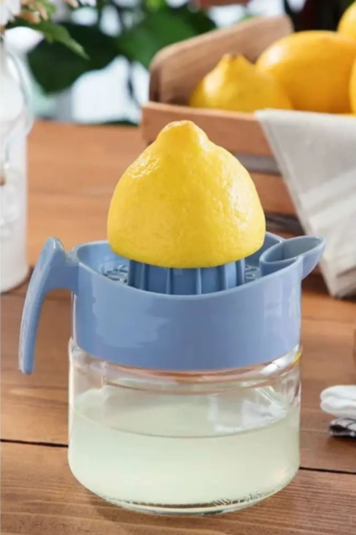 ANKAVERSE® 300ml Cam Hazneli Pratik Narenciye Sıkacağı