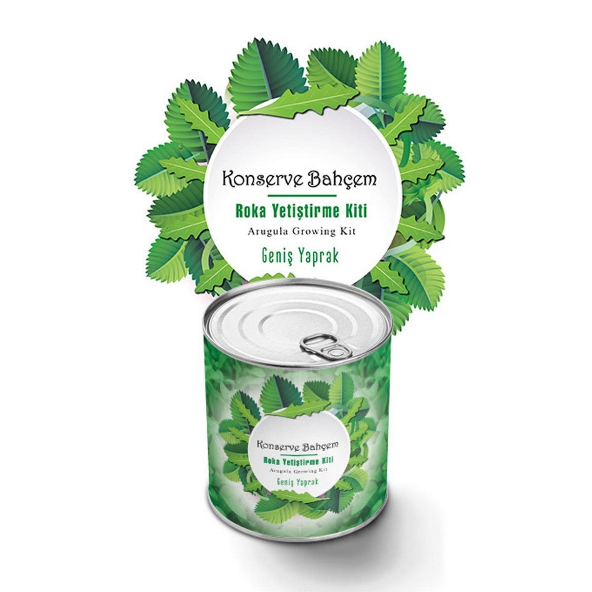 ANKAVERSE® Konserve Bahçem: Evde İri Yapraklı Roka Yetiştirme Kiti
