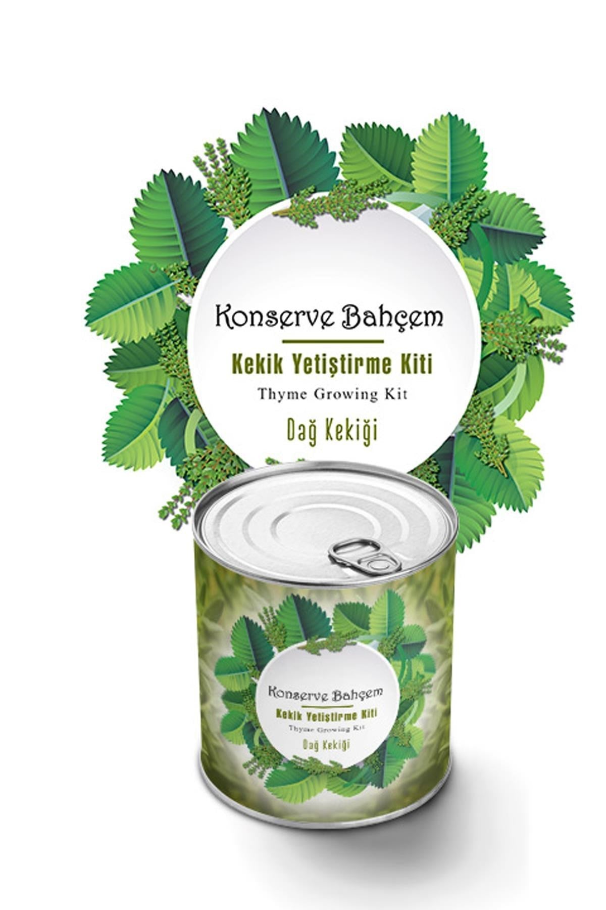 ANKAVERSE® Evde Konserve Dağ Kekiği Yetiştirme Kiti
