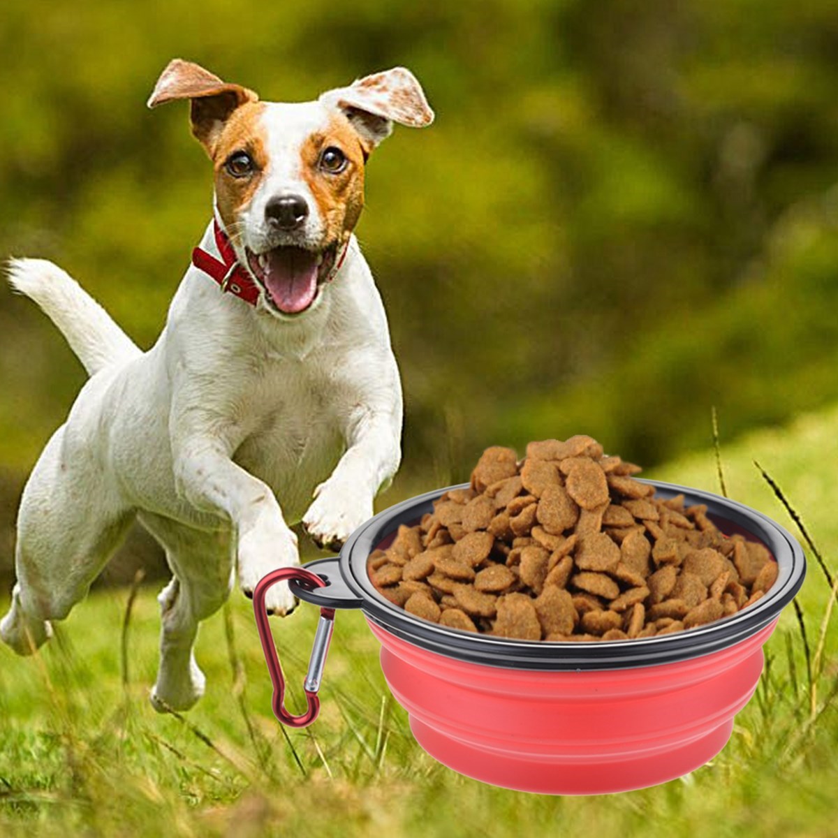 ANKAVERSE® Katlanabilir Pet Mama Kabı ve Oyuncak