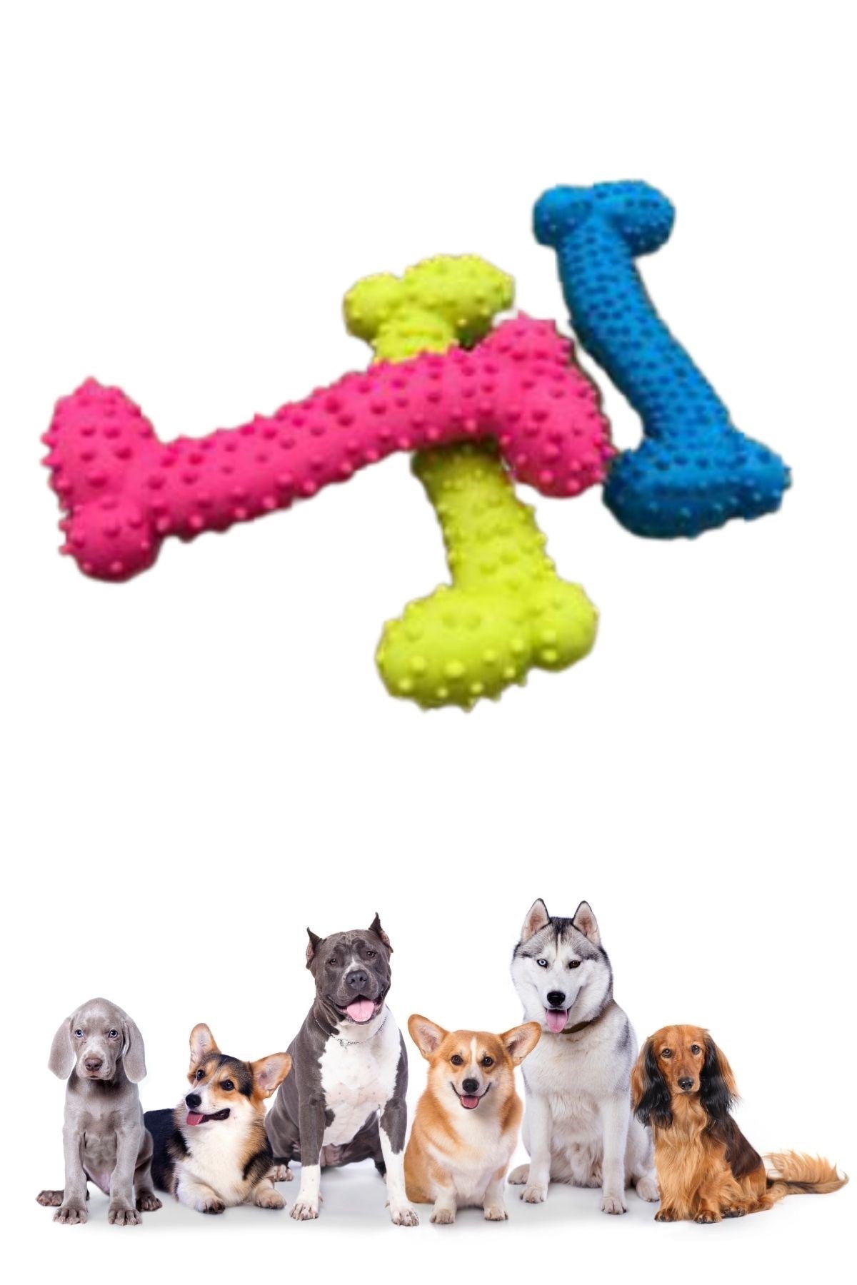 ANKAVERSE® Tiny Tırtıklı Kemik Köpek Oyuncağı