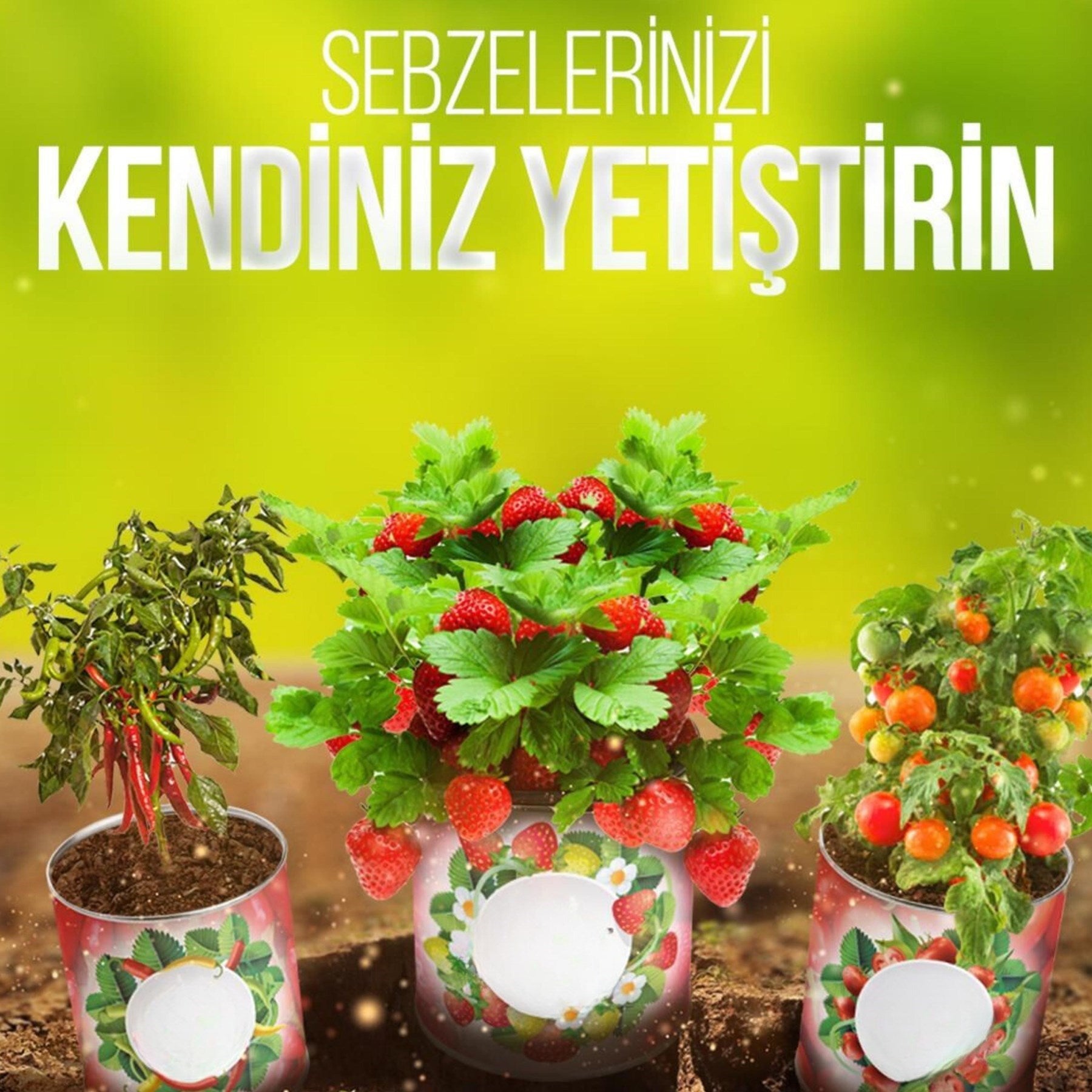 ANKAVERSE® Evde Konserve Fındık Turp Yetiştirme Kiti