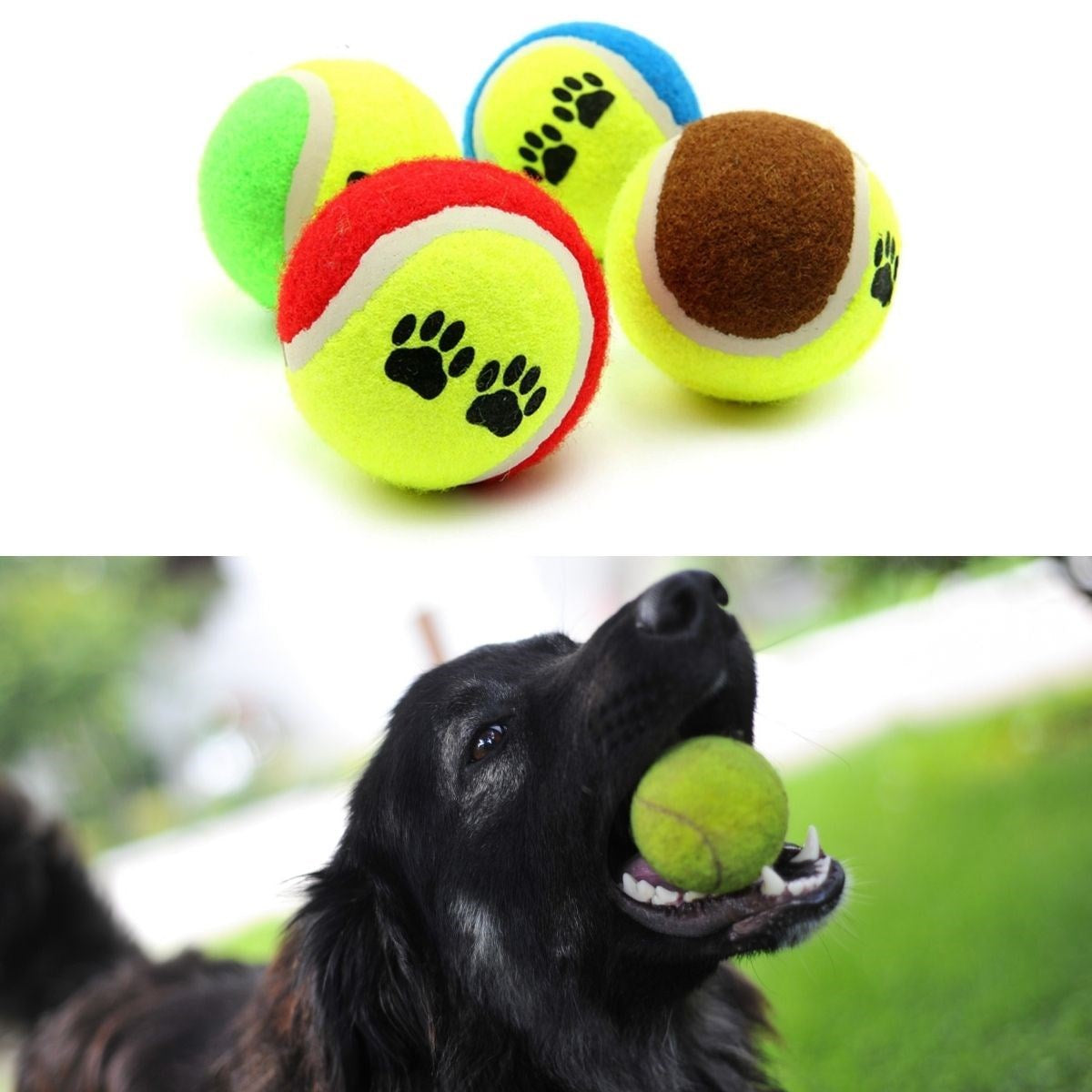 ANKAVERSE®  3lü Renkli Desenli Tenis Topu Kedi Köpek Oyuncağı