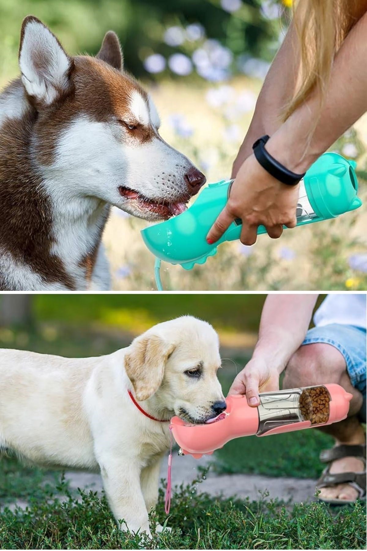 ANKAVERSE® Taşınabilir Hazneli Mama Kaplı ,Kaka Poşetli Kedi,Köpek Suluğu-300ml