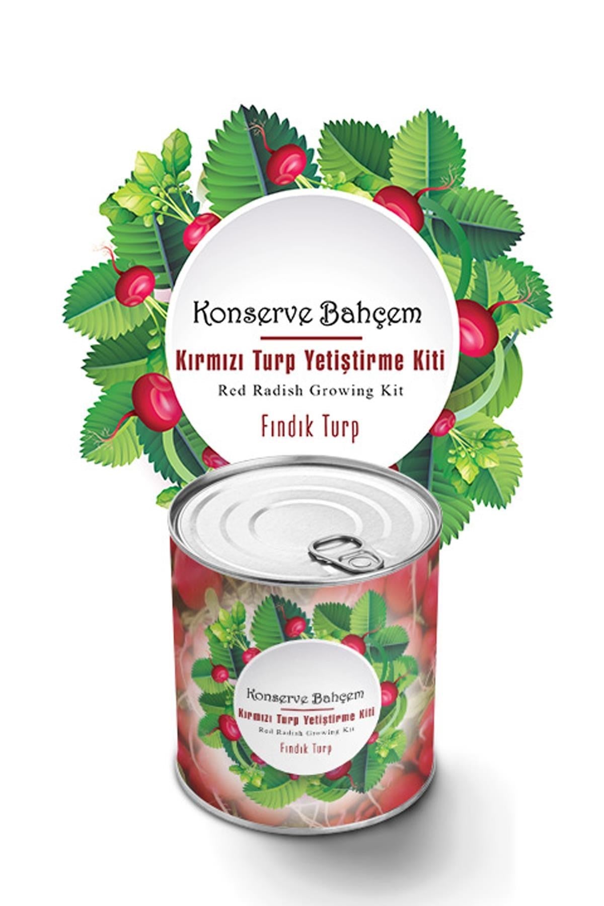 ANKAVERSE® Evde Konserve Fındık Turp Yetiştirme Kiti