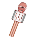 Bluetooth Karaoke Mikrofon (5286)