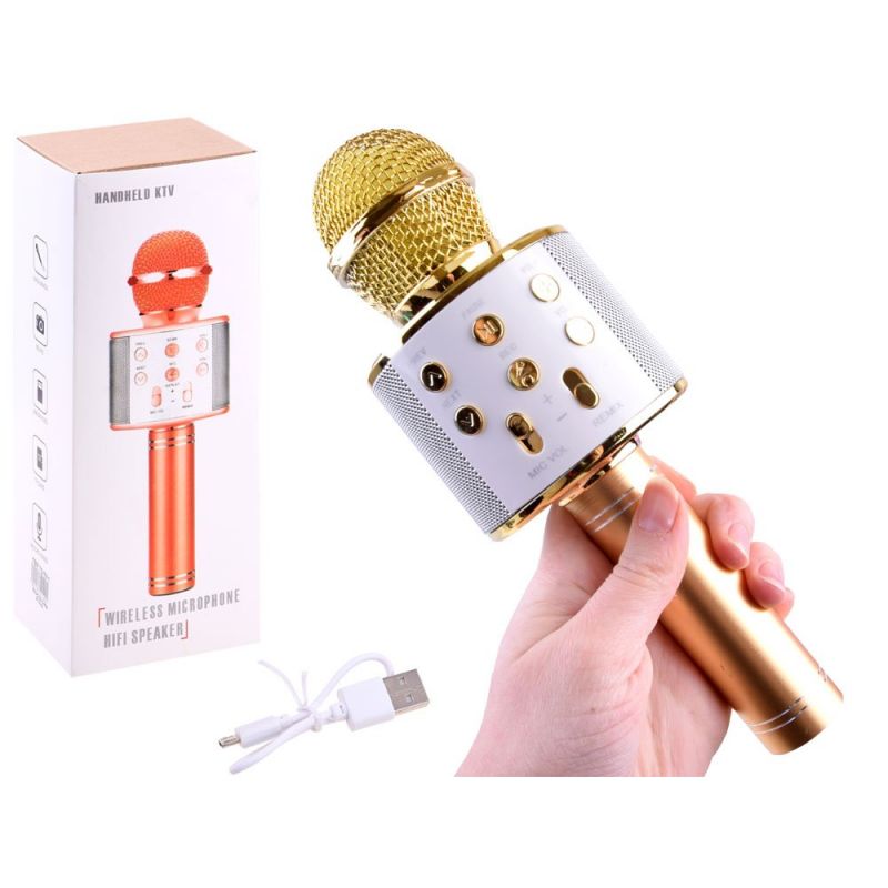 Bluetooth Karaoke Mikrofon (5286)