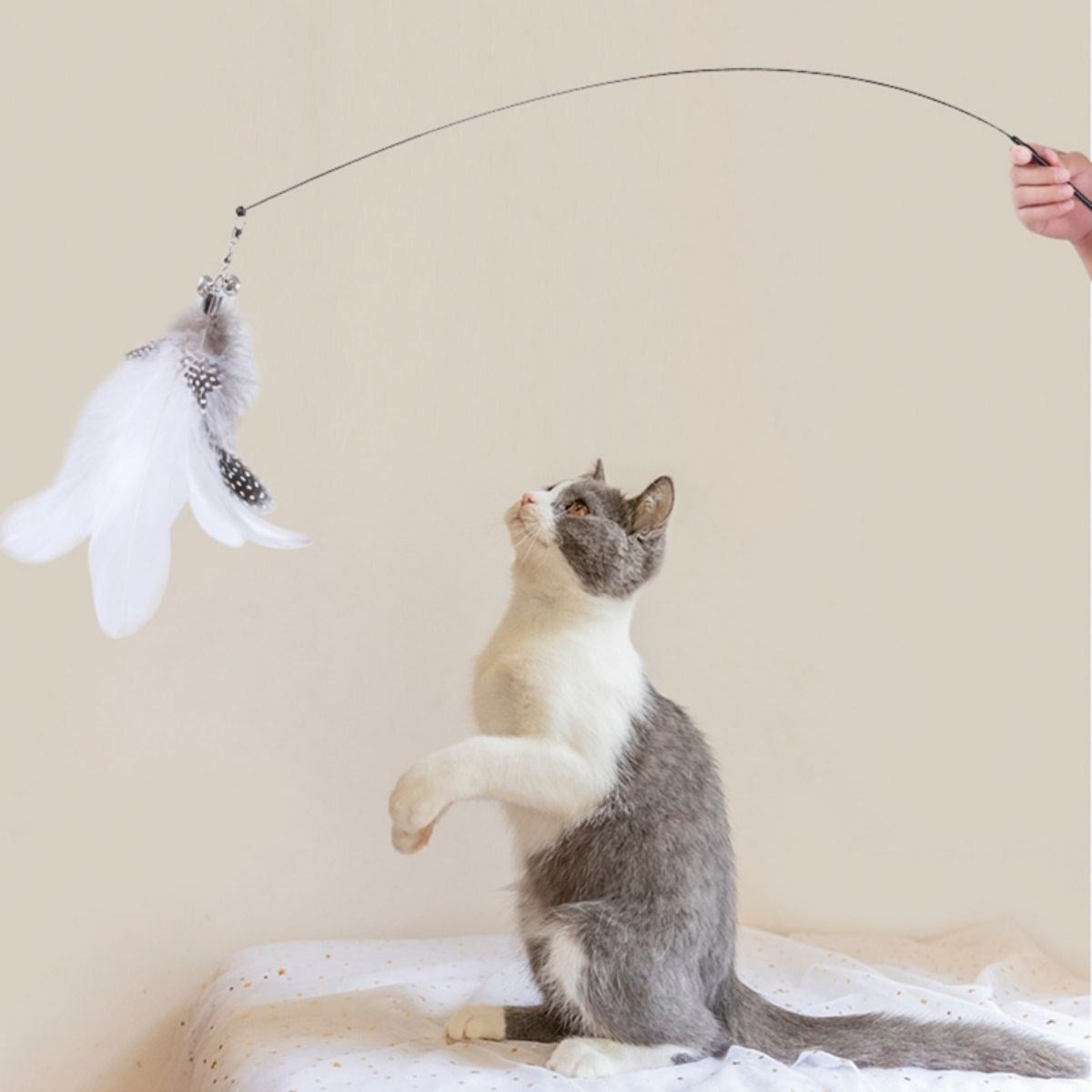 ANKAVERSE® Vantuzlu Tüylü Zilli Olta Kedi Oyuncağı 2 Oltalı