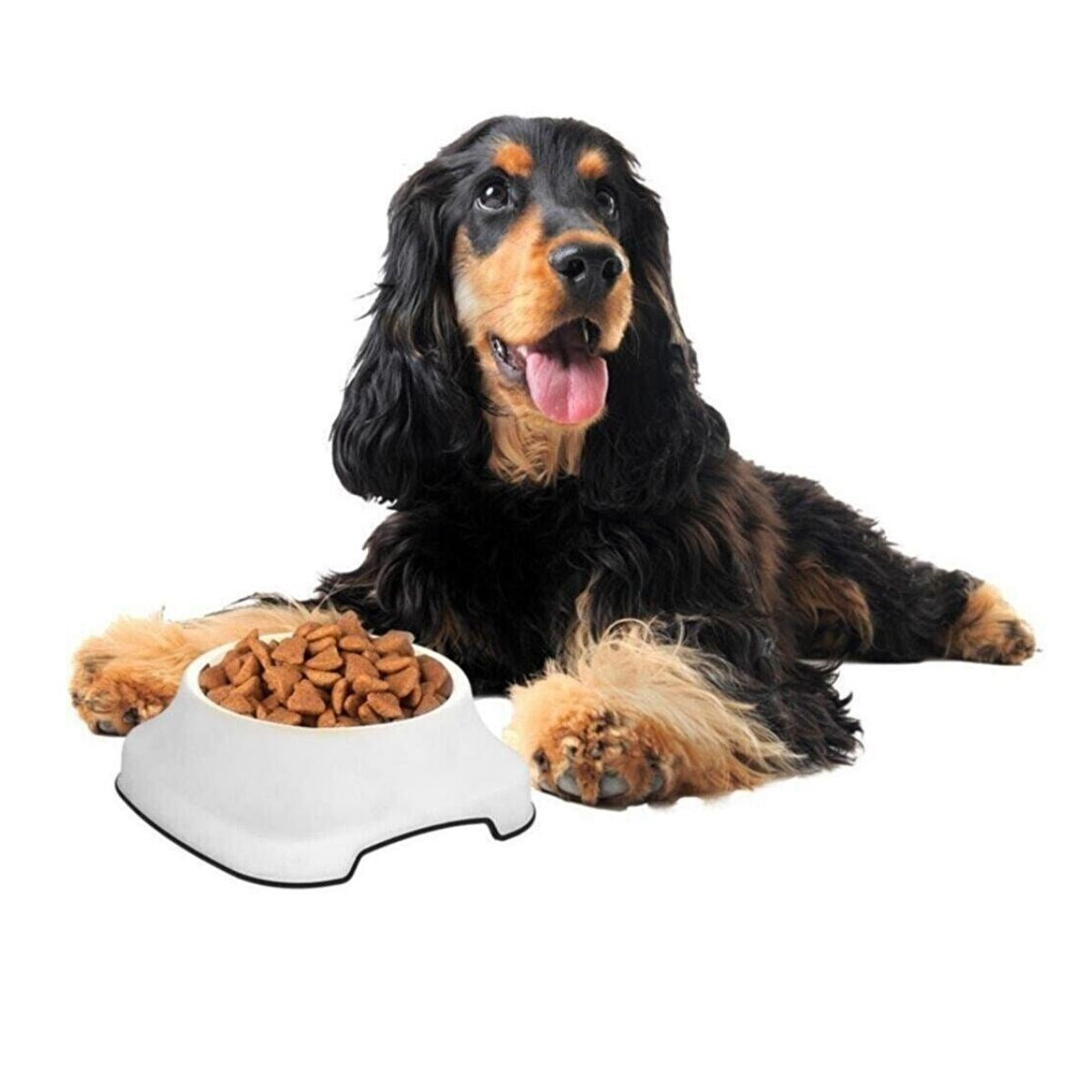 ANKAVERSE® Kaydırmaz Silikon Tabanlı 2L Pet Mama ve Su Kabı