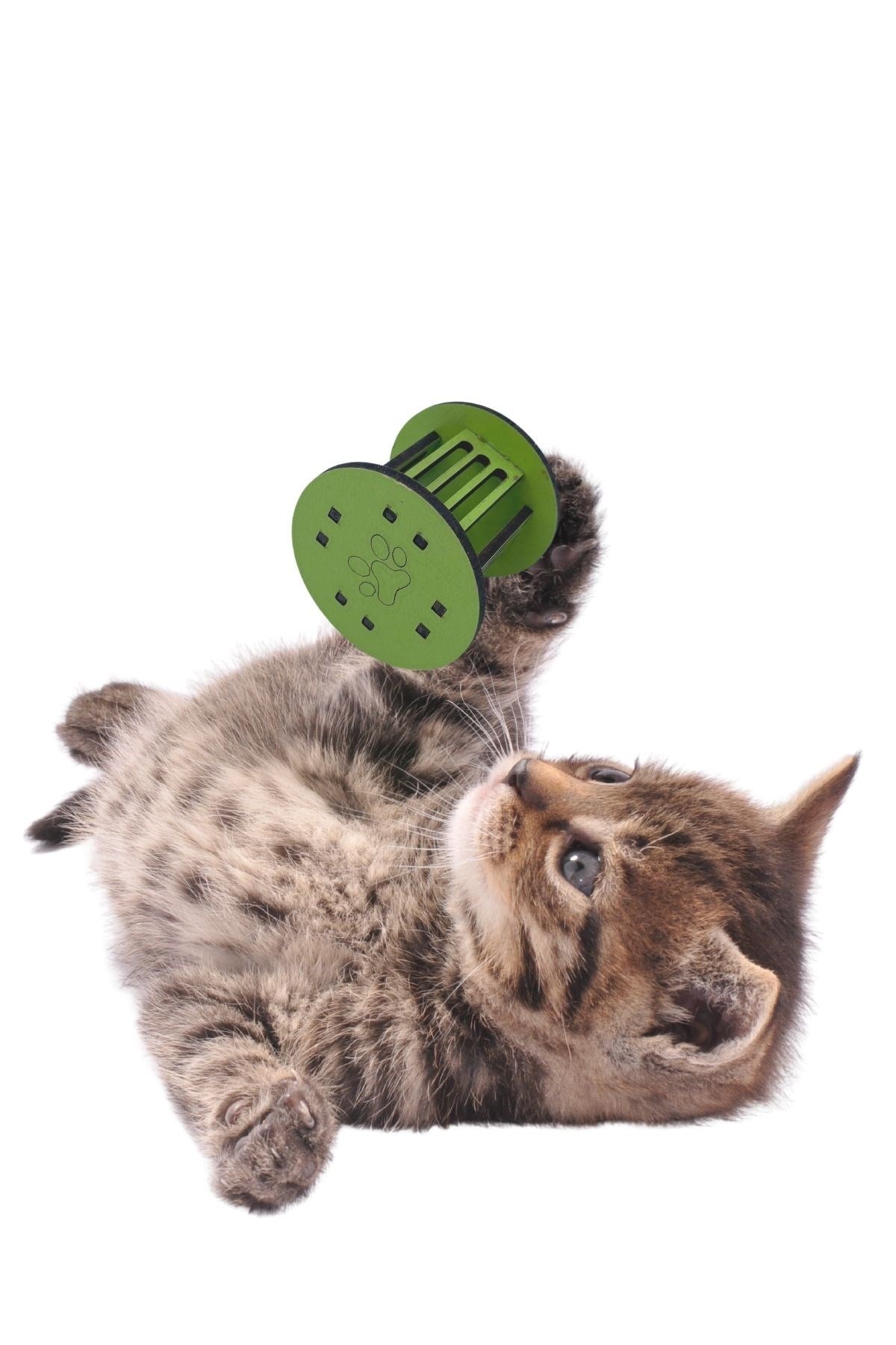 ANKAVERSE® Mini Pati İzi Kedi Oyuncağı