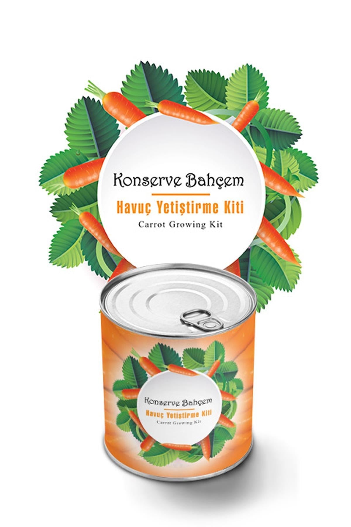 ANKAVERSE® Konserve Bahçem: Evde Havuç Yetiştirme Kiti
