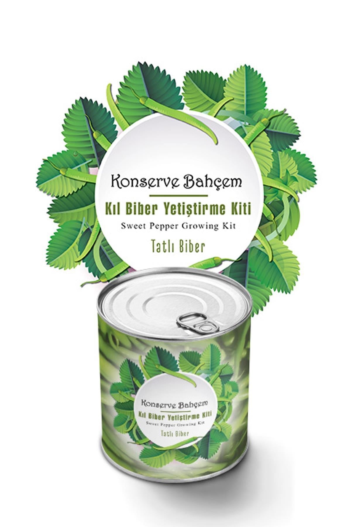 ANKAVERSE® Konserve Bahçem: Evde Tatlı Sivri Biber Yetiştirme Kiti