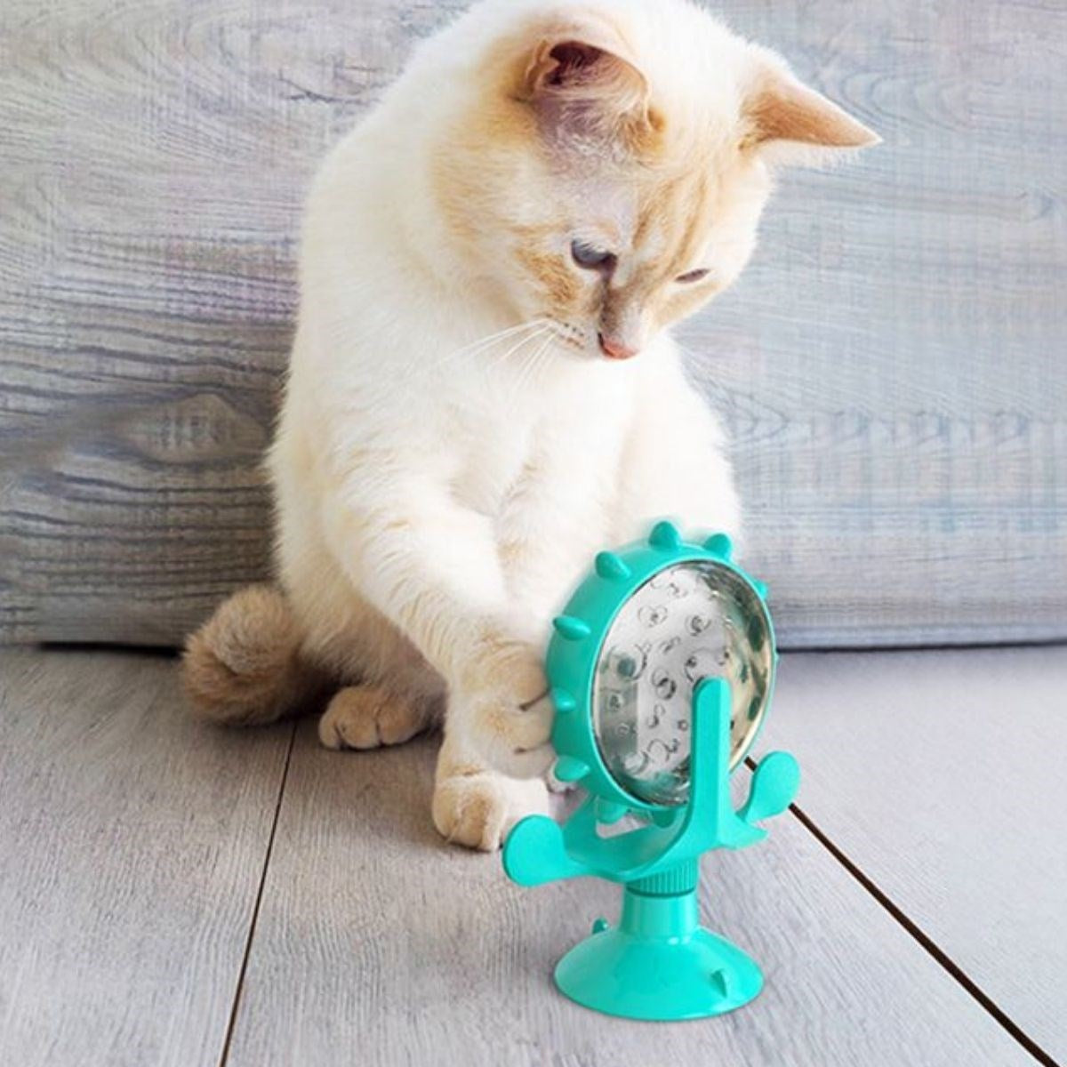 ANKAVERSE® Vantuzlu İnteraktif Dönen Kedi Oyuncağı