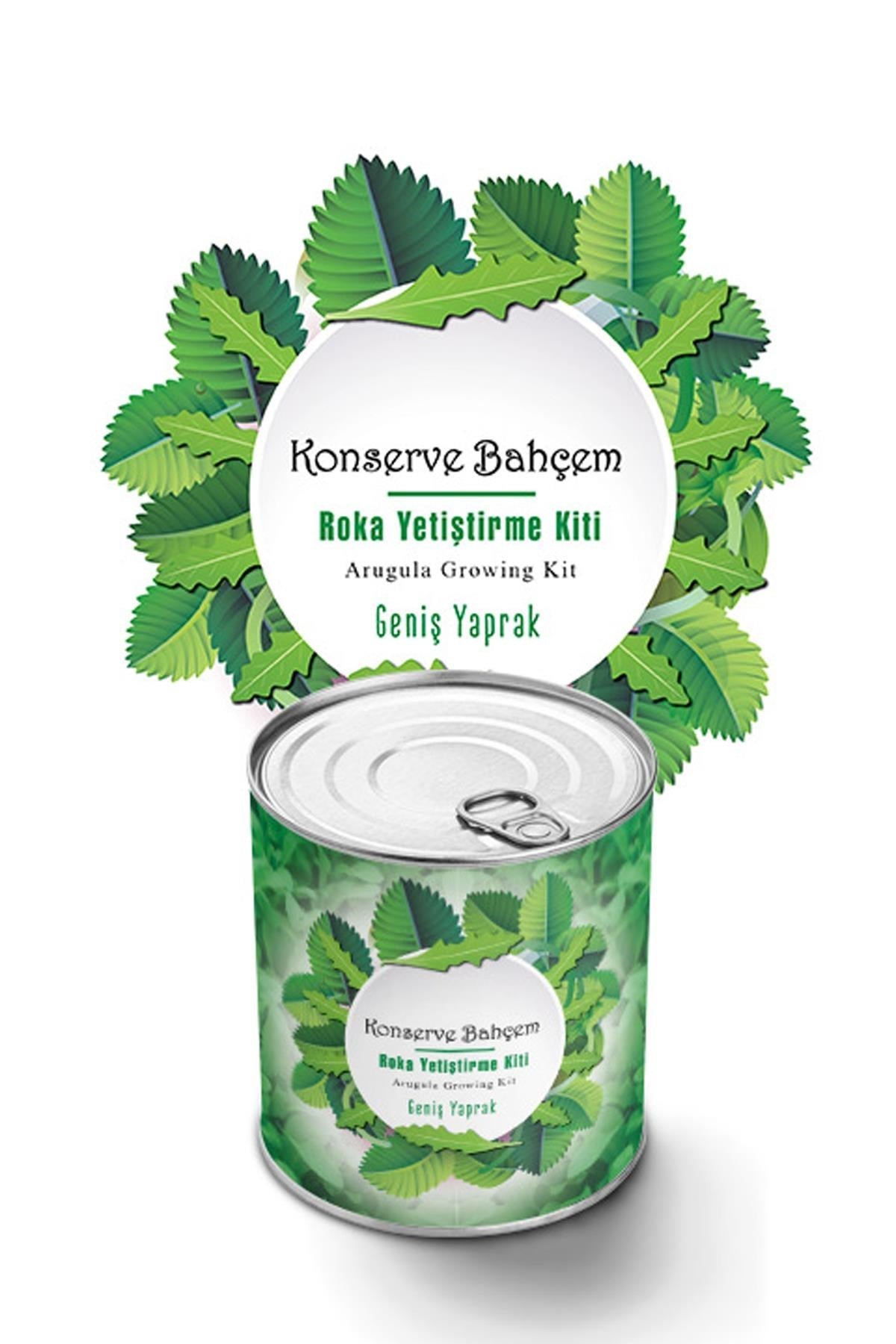 ANKAVERSE® Konserve Bahçem: Evde İri Yapraklı Roka Yetiştirme Kiti