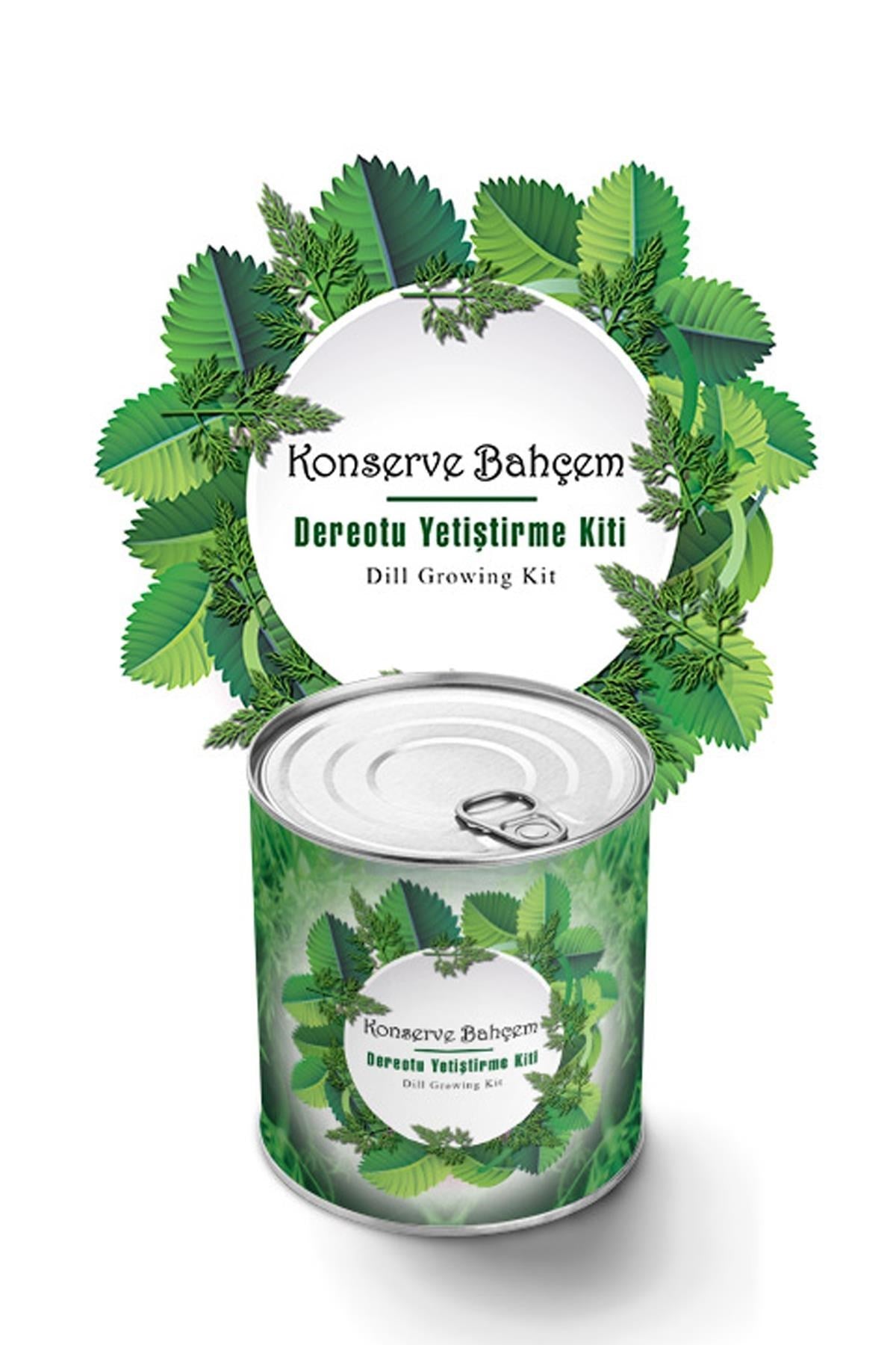 ANKAVERSE® Evde Dereotu Yetiştirme Kiti