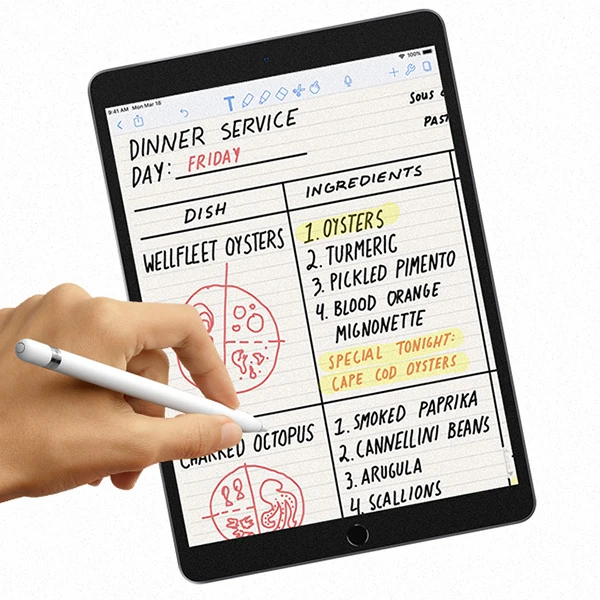 ALLY İPad Pro/Air 310.5 İnch Paper Like Film Darbe Emici Pet Ekran Koruyucu-(5775) - Şeffaf 2