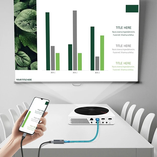 ALLY USB-C input DP output 4K Dönüştürücü Adaptör 60H-(5775) - Gümüş